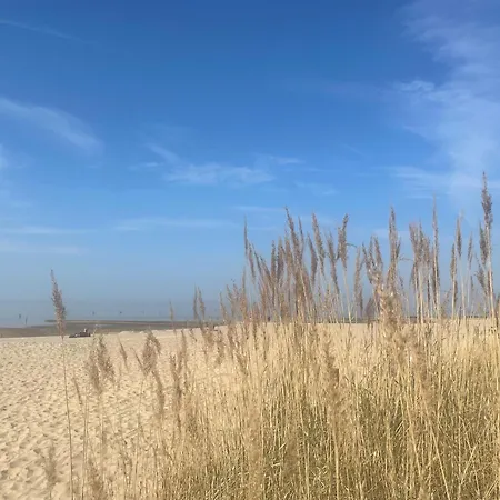 Nordseebrandung D1.1 * Cuxhaven