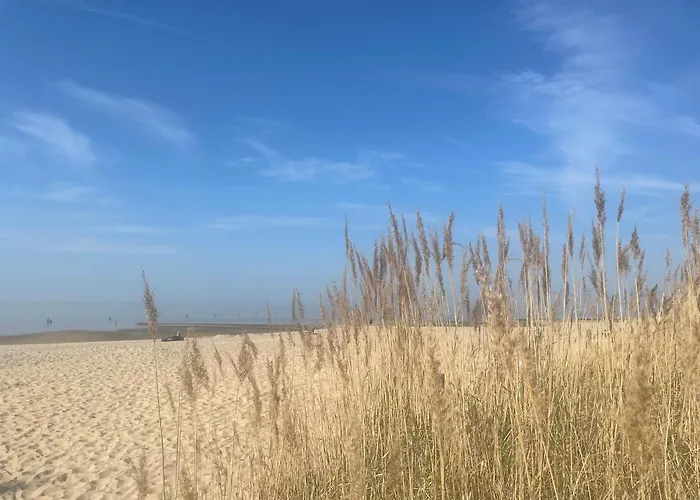 Nordseebrandung D1.1 * Cuxhaven
